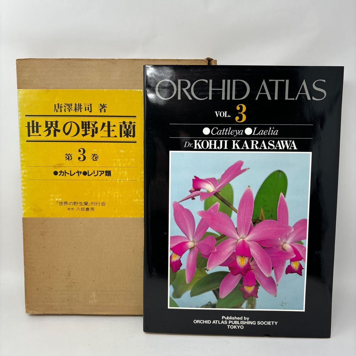 カラー図鑑 世界観賞用野生ラン | 唐澤耕司, 蘭思仁, Phillip J カラー図鑑 世界観賞用野生ラン | 唐澤耕司, 蘭思仁, Phillip J