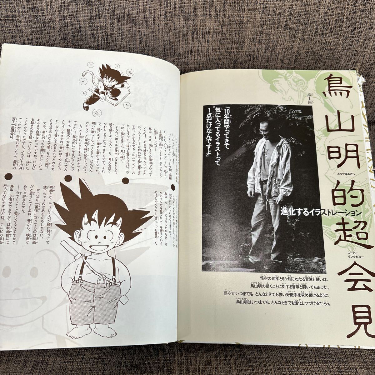 初版 DRAGON BALL大全集 (1) 鳥山明ワールド ドラゴンボール 集英社 ドラゴンボール大全集 鳥山明 イラスト集の画像10