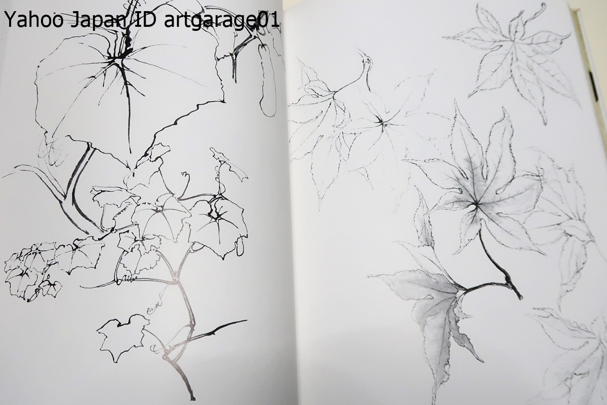 草花下絵図譜・人間国宝三代田畑喜八/本書は三代田畑喜八の友禅染の手描きの基本となる草花下絵図譜である/原画はすべて毛筆による写生_画像8