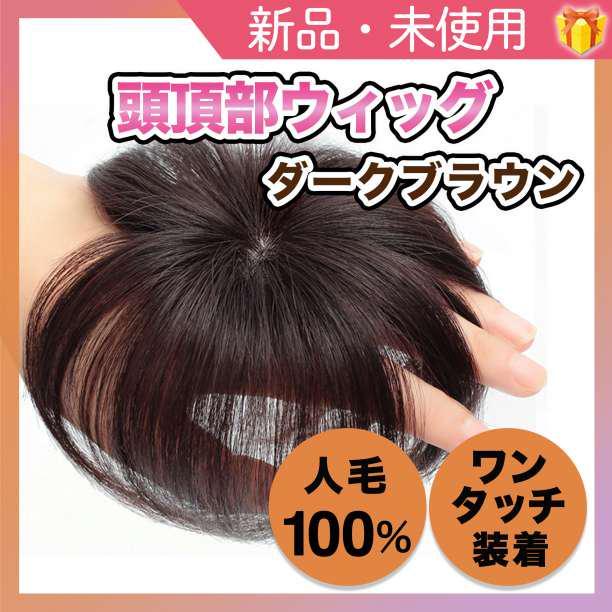 頭頂部 ウィッグ 部分かつら ヘアピース 自然 ブラウン つけ毛 メンズ にも_画像1