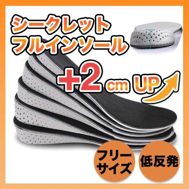 【2cm UP】 シークレットインソール 中敷き 身長アップ レディース メンズの画像1