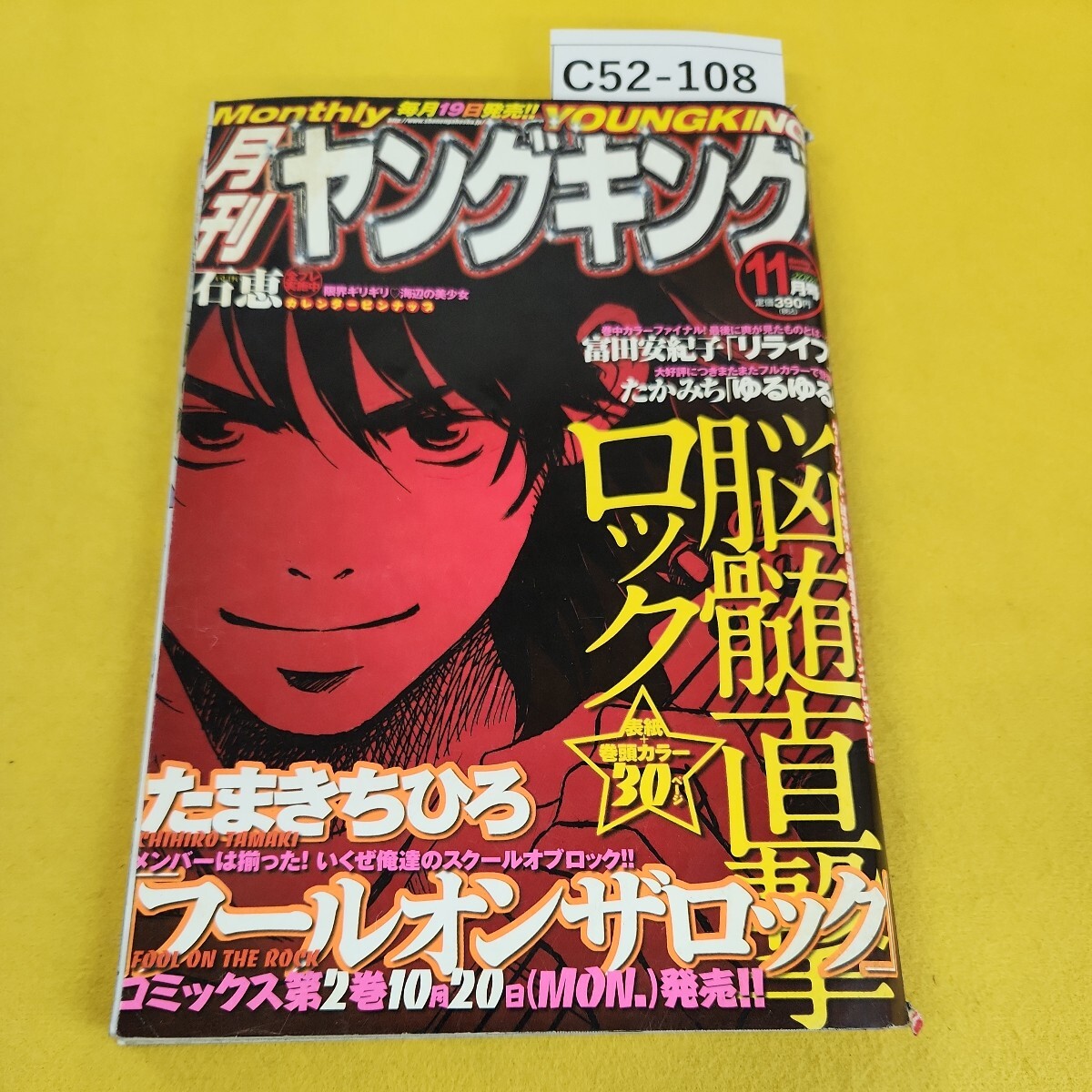 C52-108 月刊ヤングキング 2008年11月号 脳髄直撃ロック フールオンザロック他 少年画報社 背表紙に破れあり。_画像1