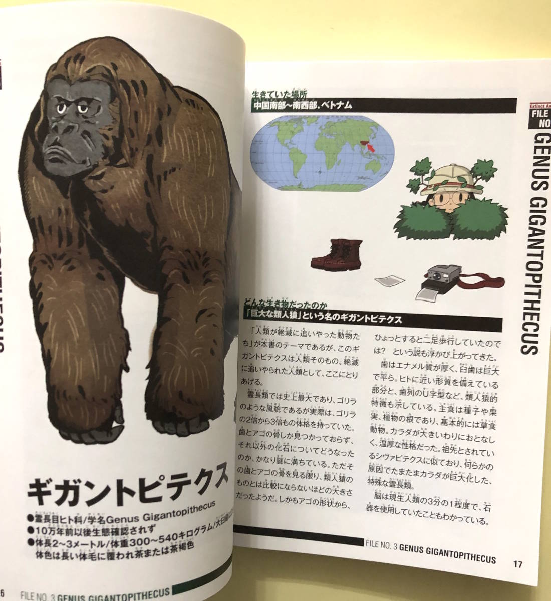 Publication Zoo Hito According To The Earth On Animal Real Yahoo Auction Salling Publication Zoo Hito According To The Earth On Animal Real Yahoo Auction Salling