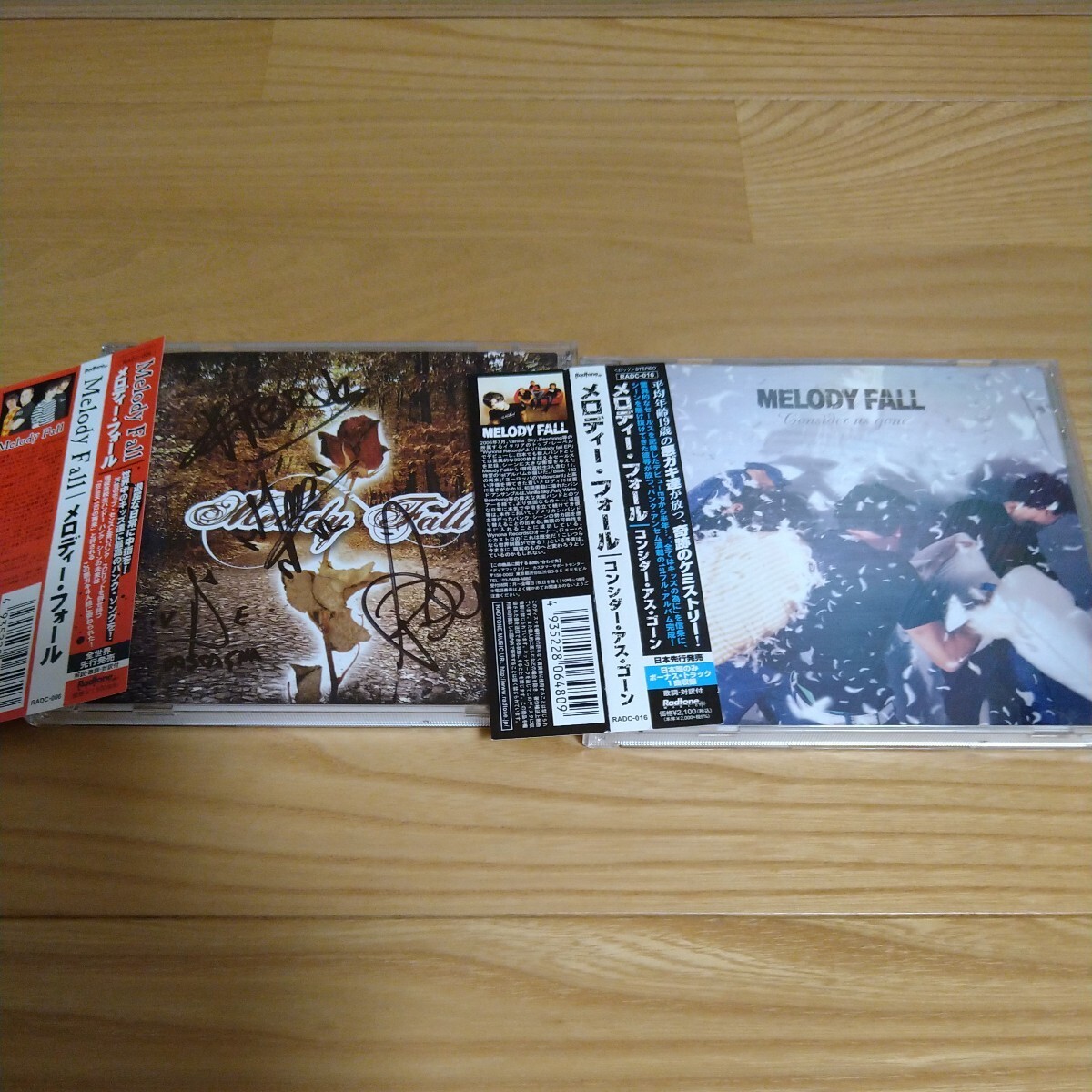 MELODY FALL メロコア メロディック FAT WRECK EPITAPH NO USE FOR A NAME NOFX NEW FOUND GLORY BLINK182 LAGWAGON MXPX_画像1