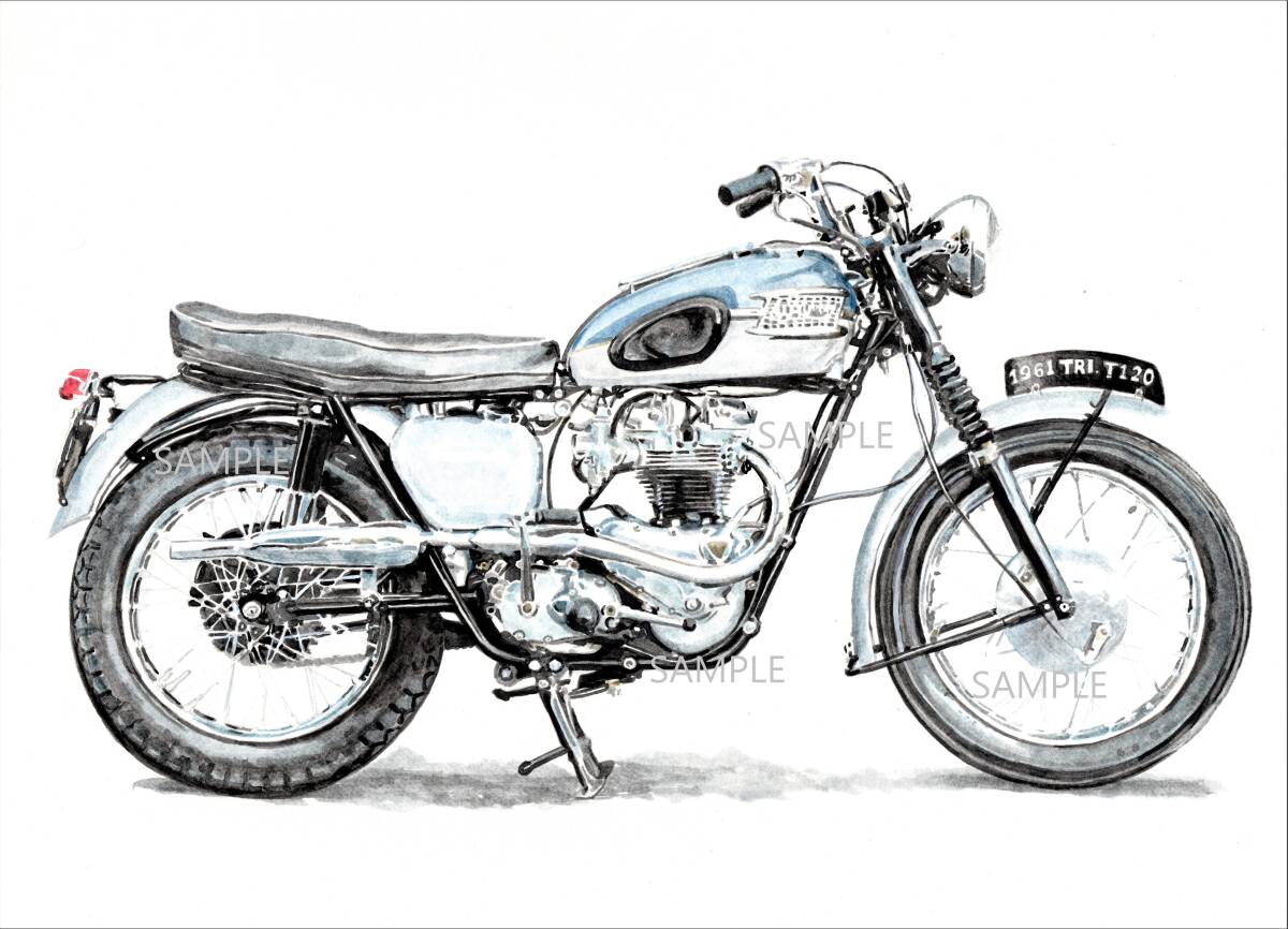 Ａ４プリントです　トライアンフ　ボンネヴィルT120　1961　水彩画　バイクイラスト　　　_画像1