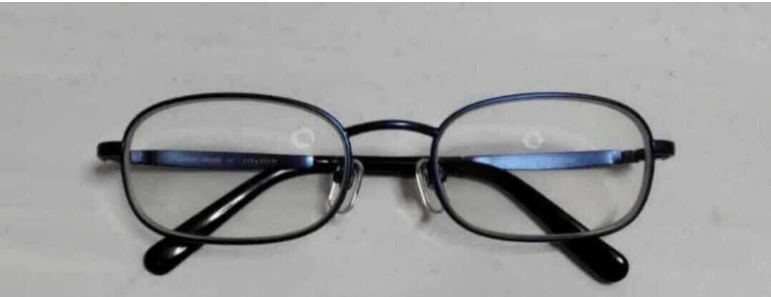 GIORGIO ARMANI/joru geo Armani titanium made glasses frame blue 