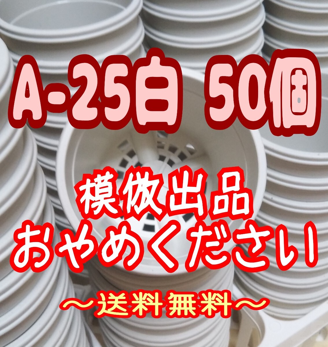 ◆送料無料◆プラ鉢【A-25】50個 スリット鉢 丸 プレステラ 多肉植物の画像1