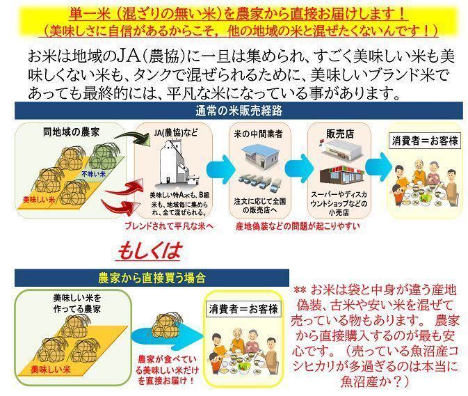 減農薬　新潟こしひかり玄米粉900g　令和5年　新潟県三条市しただ産　新潟県認証　特別栽培米コシヒカリ玄米100% グルテンフリー　送料無料_画像8