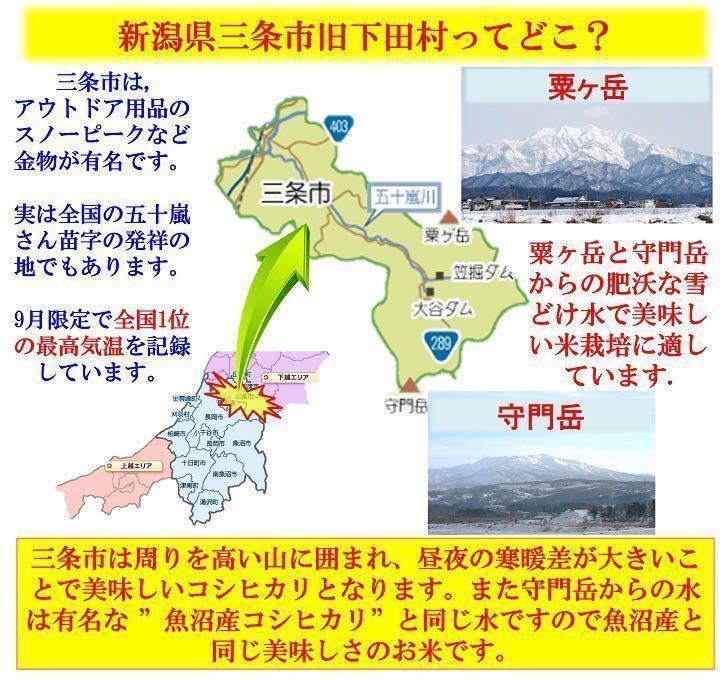 令和5年産 減農薬 新潟コシヒカリ玄米10kg+ミルキークイーン玄米10kg 新潟県三条市旧しただ村産 こしひかりとミルキー共に100%本物の画像6