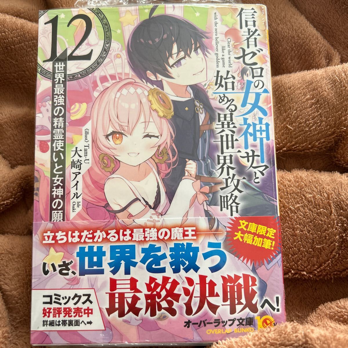 信者ゼロの女神サマと始める異世界攻略 12.世界最強の精霊使いと女神の願い 上の画像1