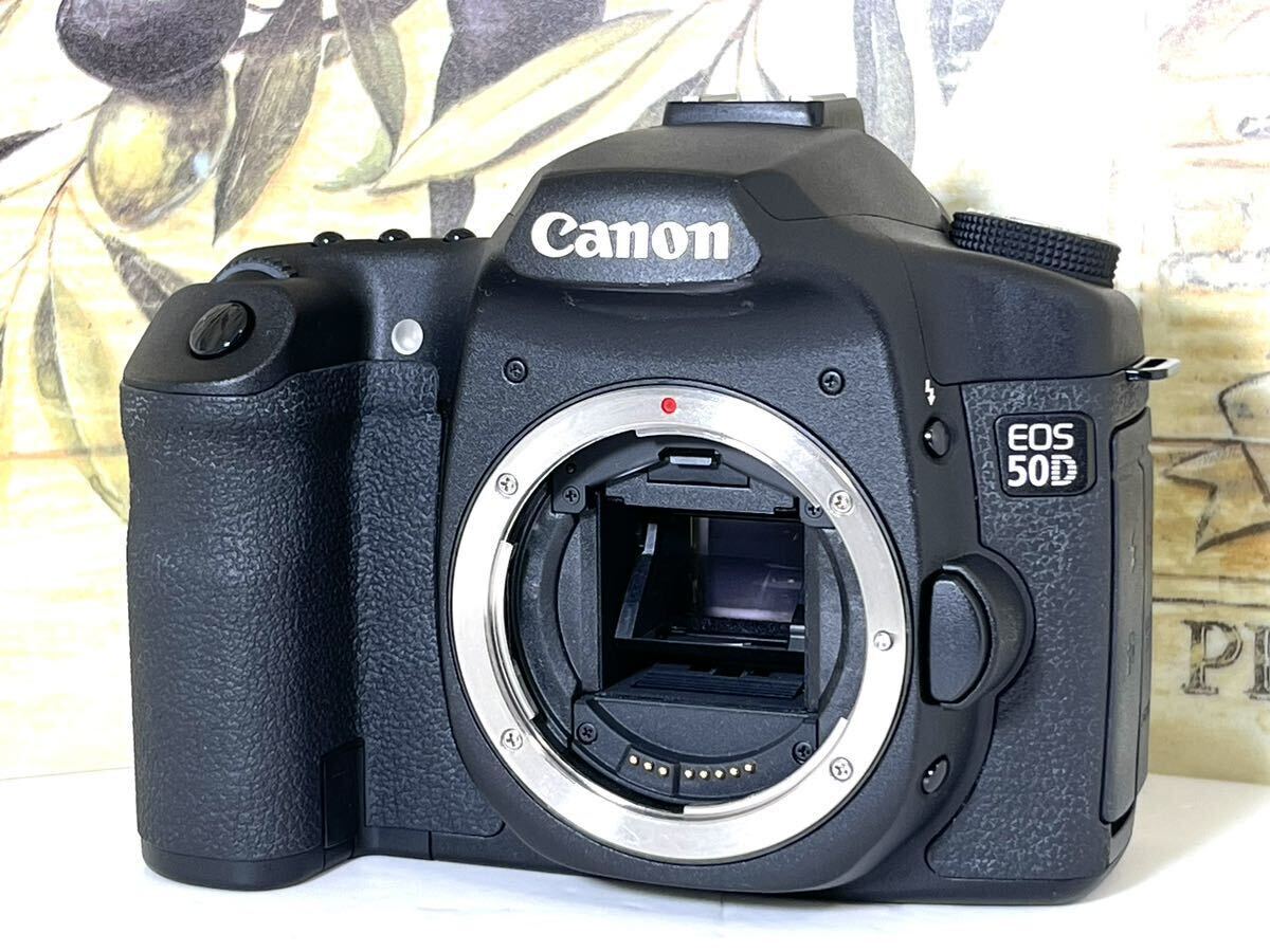 新品級ショット数1,848 希少！超美品 キャノン Canon EOS 50D Wレンズ 重要付属品完備 8GB CFカード付 すぐに撮影できます 本日値下げ_画像4
