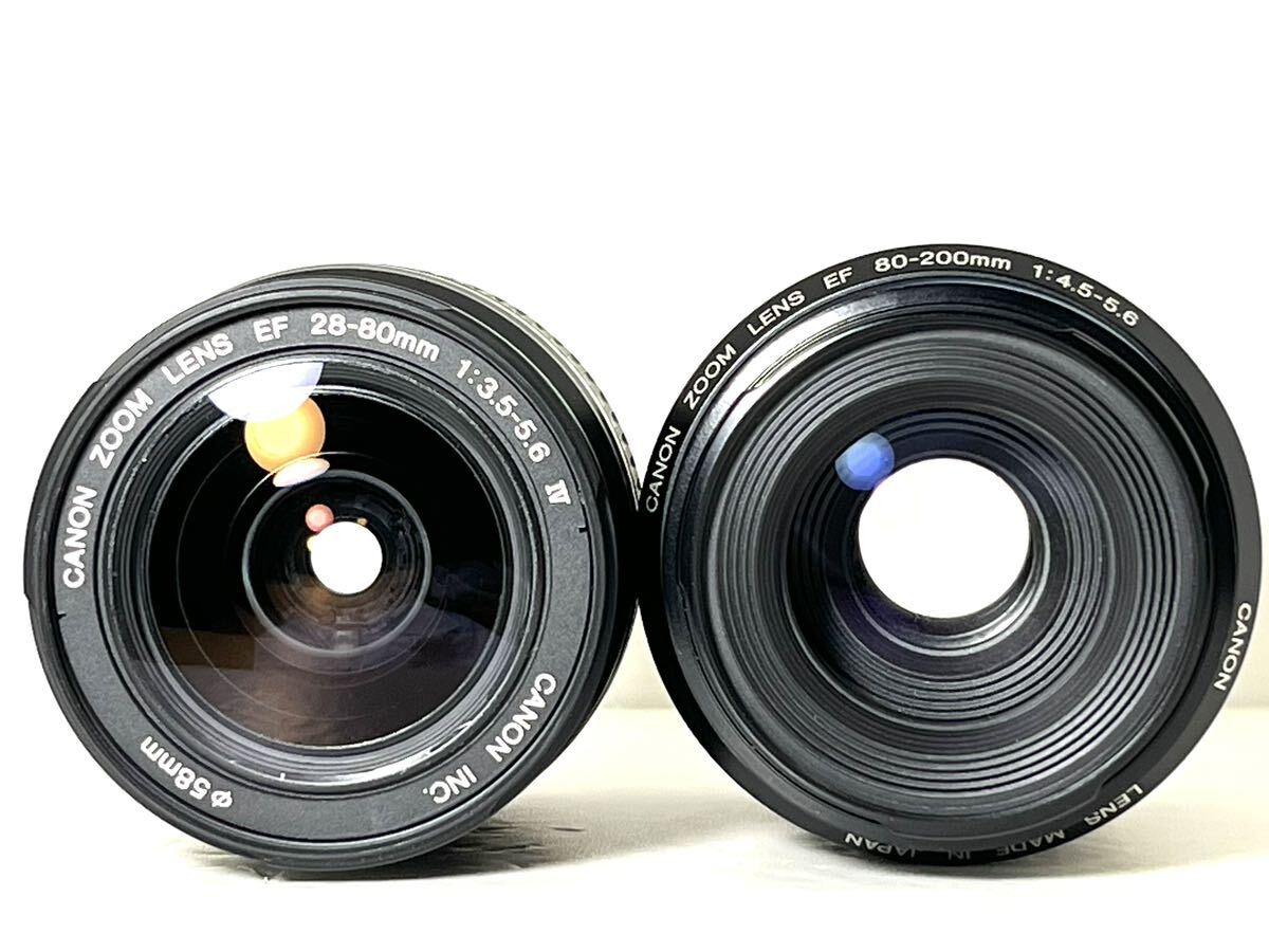 総ショット数極少 2,728枚 超美品 キャノン Canon EOS Kiss x2 Wレンズ USM機能搭載レンズ 元箱付属品完備 SDカード付き すぐに撮影可の画像8