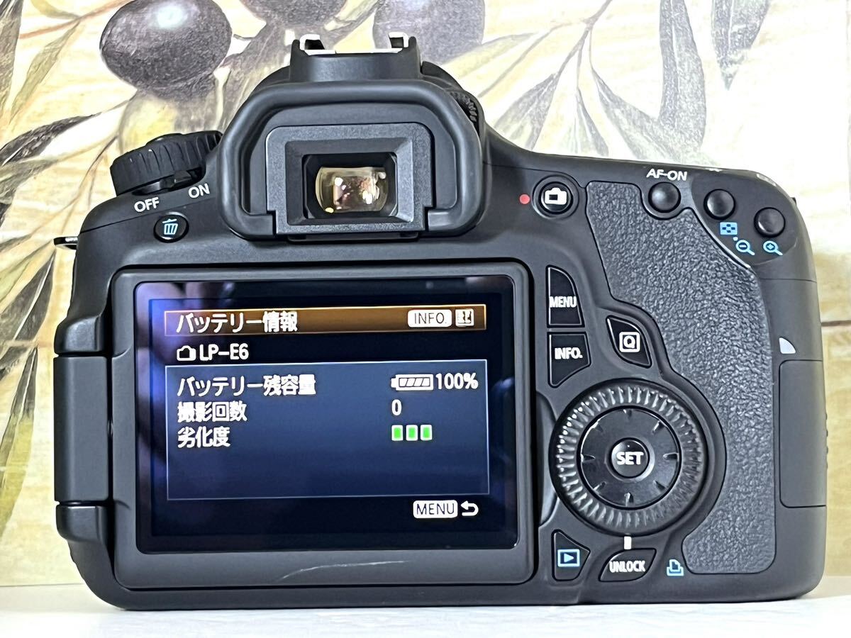 未使用級ショット数 4,421回 美品 キャノン Canon EOS 60D Wレンズ セット 手ぶれ補正標準レンズ&300mm超望レンズ 付属品完備 SDカード付き_画像5