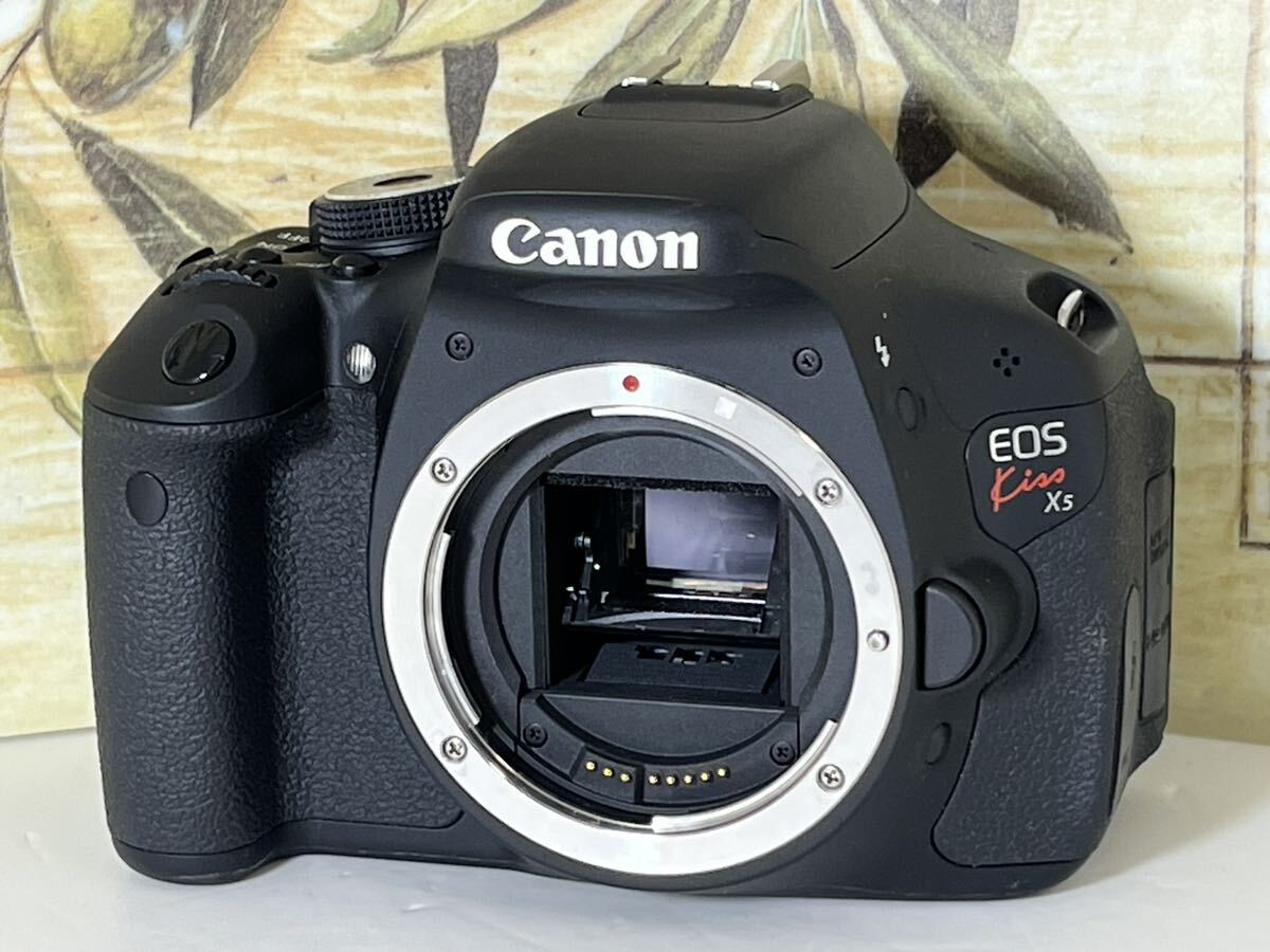 ほぼ新品ショット数 10枚 美品 キャノン Canon EOS Kiss X5 トリプルレンズ 24mm単焦点&手ぶれ補正標準レンズ&200mm超望レンズ 付属品完備_画像4