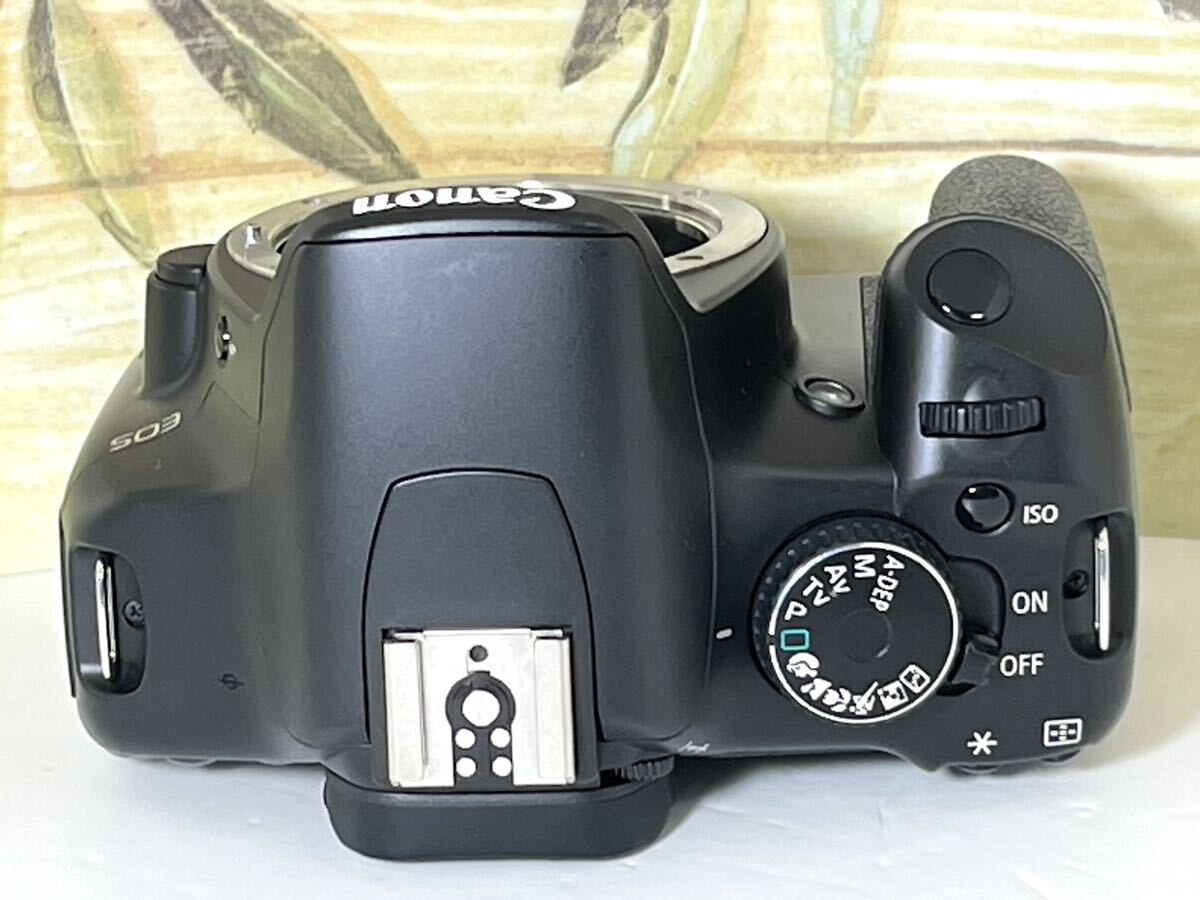 総ショット数新品級1,110枚 超美品 キャノン Canon EOS Kiss x2 Wレンズ USM機能搭載レンズ 重要付属品完備 SDカード付き すぐに撮影可_画像6