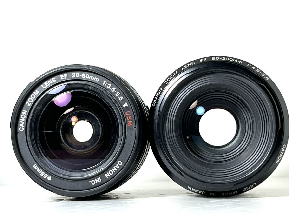 総ショット数新品級1,110枚 超美品 キャノン Canon EOS Kiss x2 Wレンズ USM機能搭載レンズ 重要付属品完備 SDカード付き すぐに撮影可_画像8