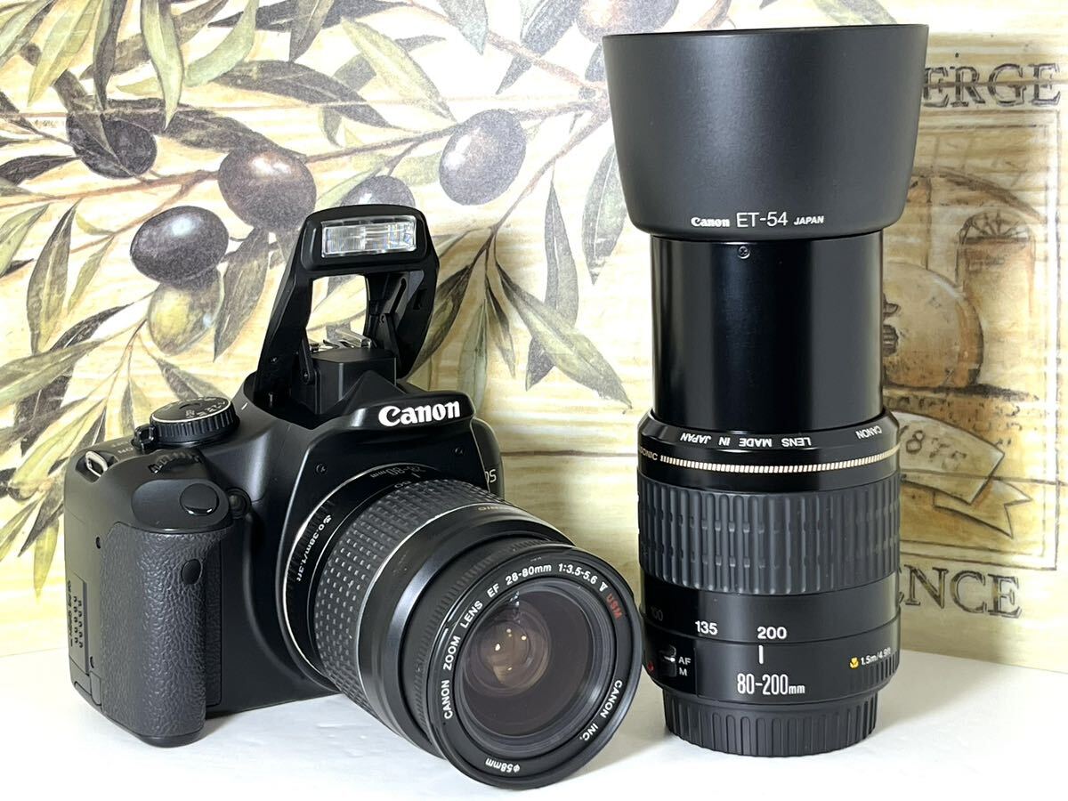 総ショット数新品級1,110枚 超美品 キャノン Canon EOS Kiss x2 Wレンズ USM機能搭載レンズ 重要付属品完備 SDカード付き すぐに撮影可_画像3