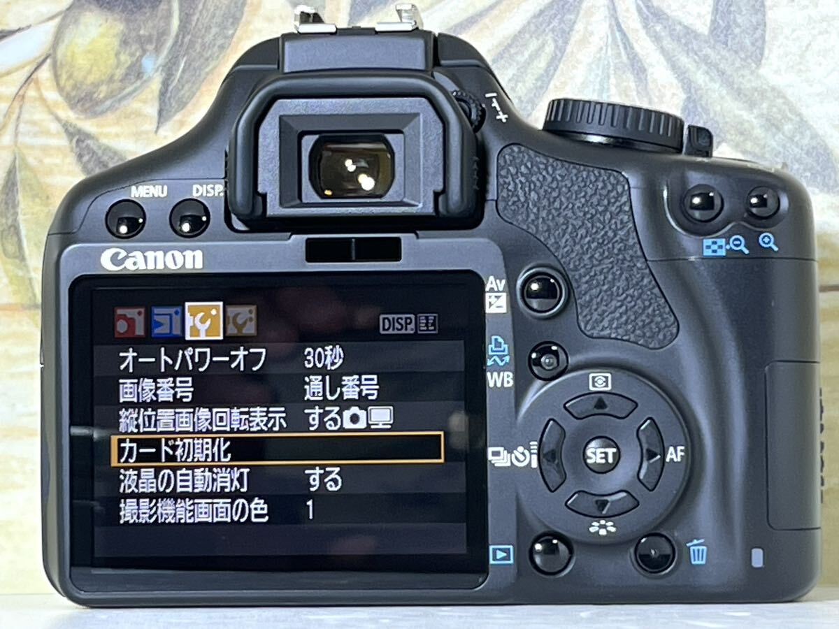 総ショット数新品級1,110枚 超美品 キャノン Canon EOS Kiss x2 Wレンズ USM機能搭載レンズ 重要付属品完備 SDカード付き すぐに撮影可_画像5