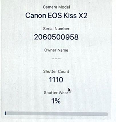 総ショット数新品級1,110枚 超美品 キャノン Canon EOS Kiss x2 Wレンズ USM機能搭載レンズ 重要付属品完備 SDカード付き すぐに撮影可_画像10