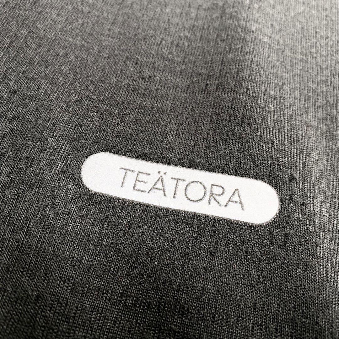 【希少サイズ・XL】TEATORA テアトラ ONEDAY TEE DELTA [4] 黒 Tシャツ デルタティー メンズ カットソー 速乾 軽量 ストレッチ 日本製