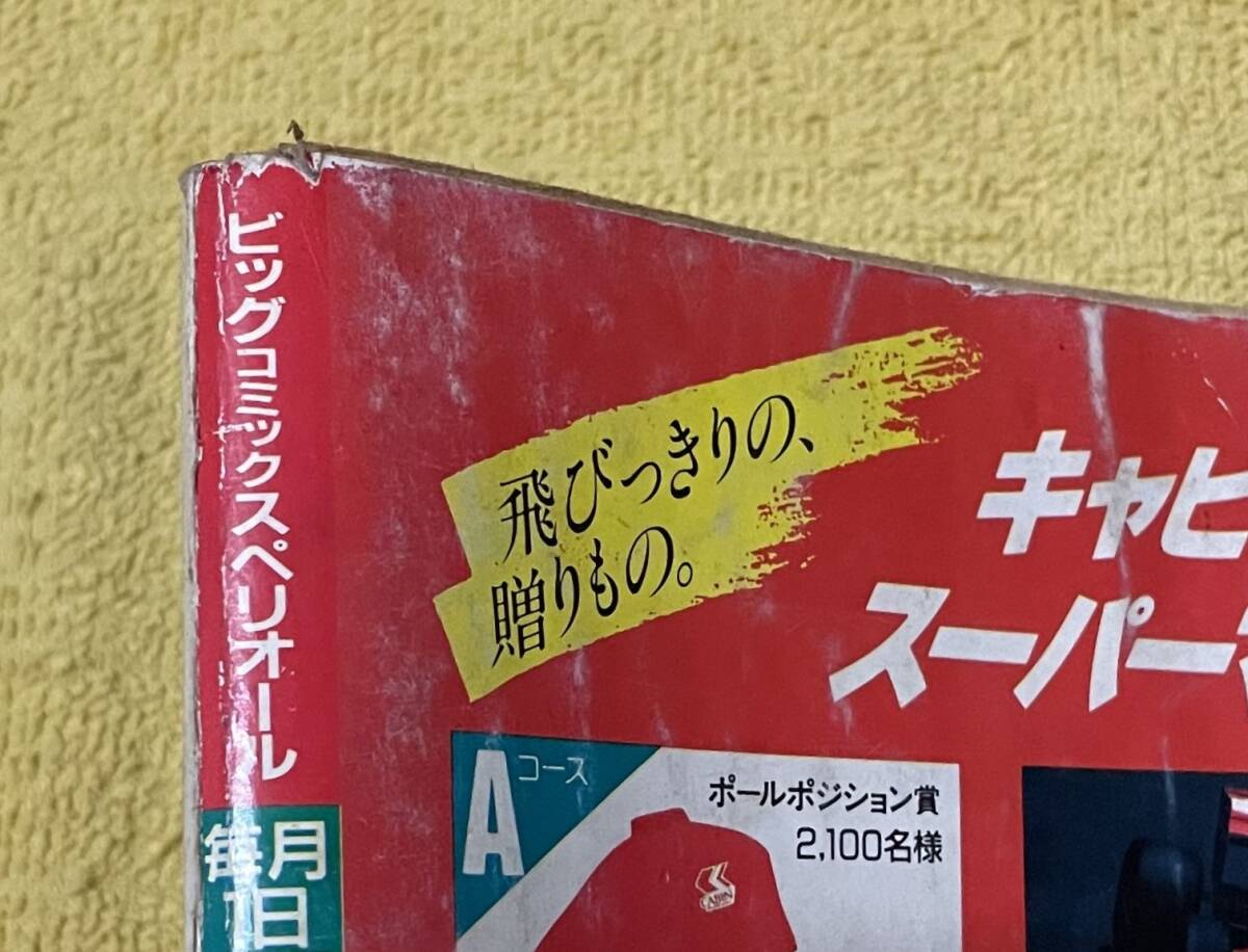 ビッグコミックスペリオール 1989年5月15日号 新谷かおる/細野不二彦/とりいかずよし/池上遼一/高井研一郎/みやはら啓一/倉田よしみ 他_画像4