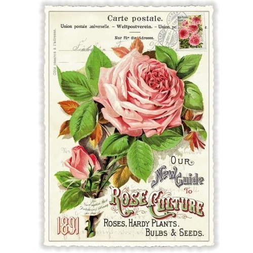 ローズ 薔薇 ドイツ 製 フラワー ポストカード ラメ グリーティングカード 絵はがき アンティーク調 バラの画像1