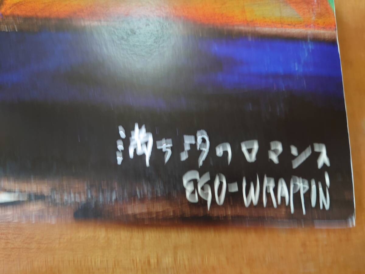 EGO WRAPPIN'「満ち汐のロマンス」■2001年/2枚組アナログLP/UPJM-1001/2■エゴ・ラッピン_画像9