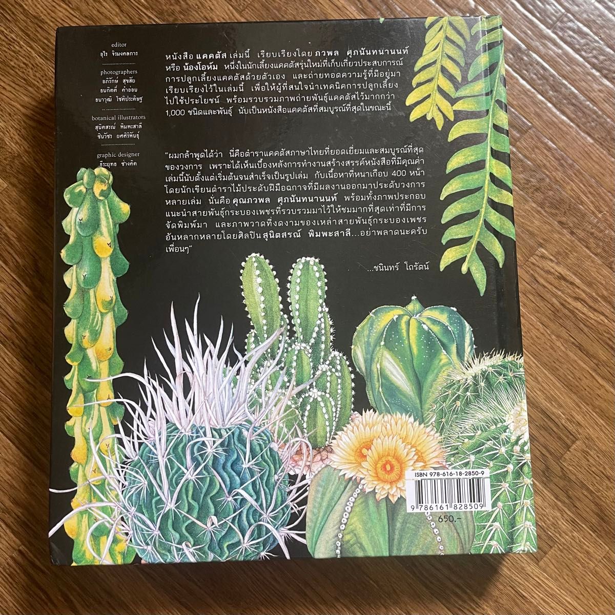 サボテン全書 All about CACTUS 本 タイ語 Cactus|Yahoo!フリマ サボテン全書 All about CACTUS 本 タイ語 Cactus|Yahoo!フリマ