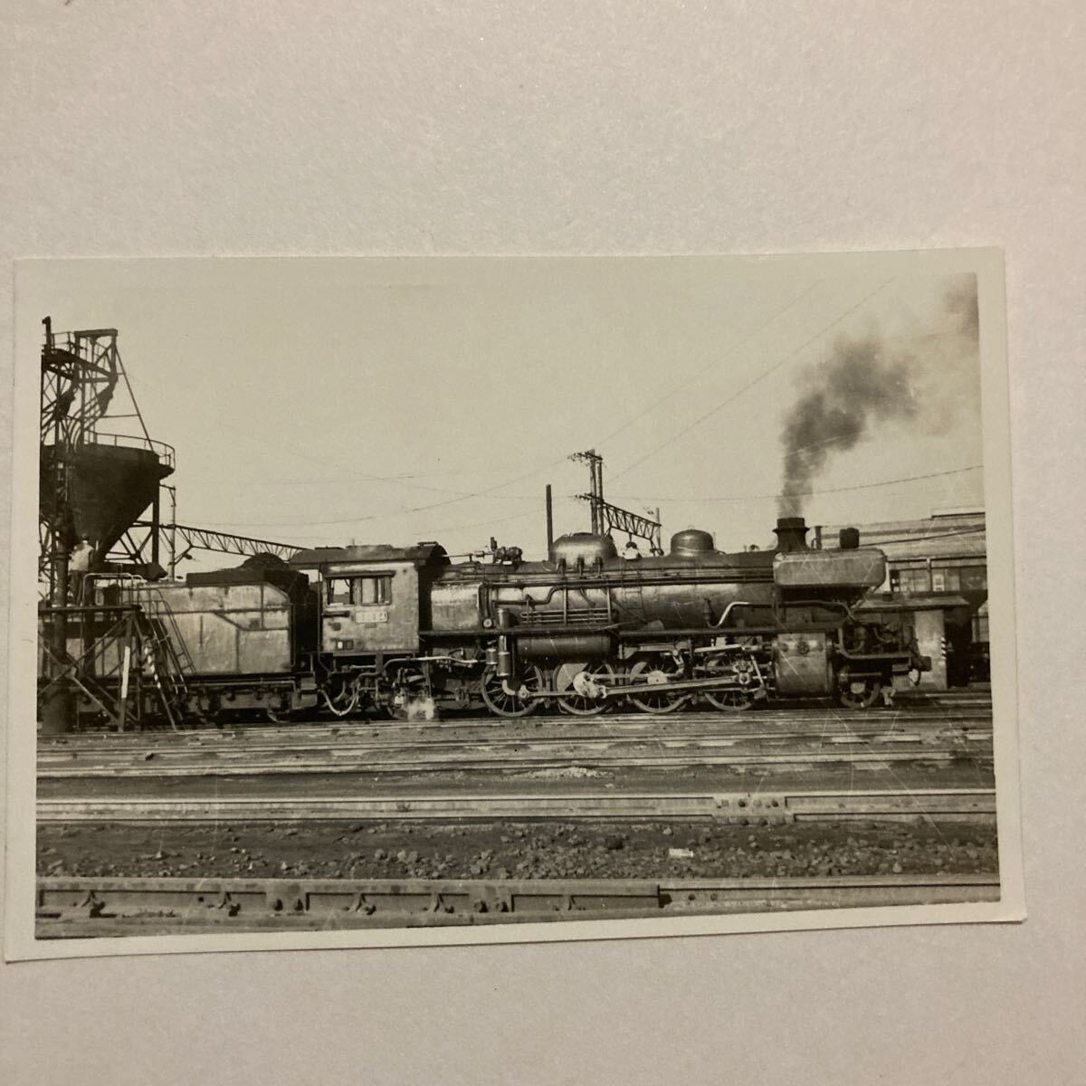【鉄道写真】蒸気機関車/D50形？◆詳細不明の画像1