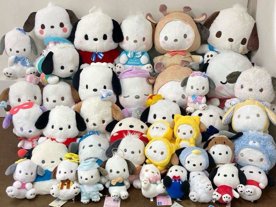 Yahoo!オークション - RK024) サンリオ ポチャッコ ぬいぐるみ Yahoo!オークション - RK024) サンリオ ポチャッコ ぬいぐるみ
