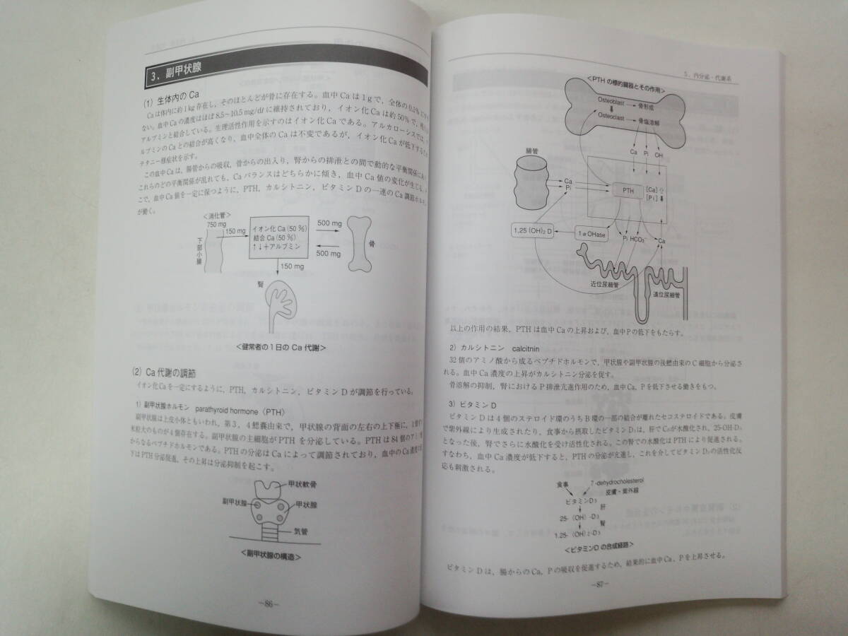 む1-f04【匿名配送・送料込】解剖・生理　TECOM　循環器系　呼吸器系　腎・泌尿器系　消化器系　内分泌・代謝系　血液・免疫系_画像3