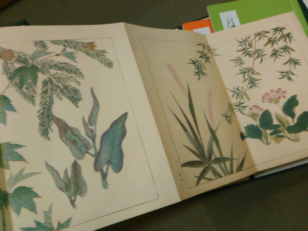 倉庫D-f04【匿名配送・送料込】四季の花 復刻版 酒井抱一 鈴木其 倉庫D-f04【匿名配送・送料込】四季の花 復刻版 酒井抱一 鈴木其