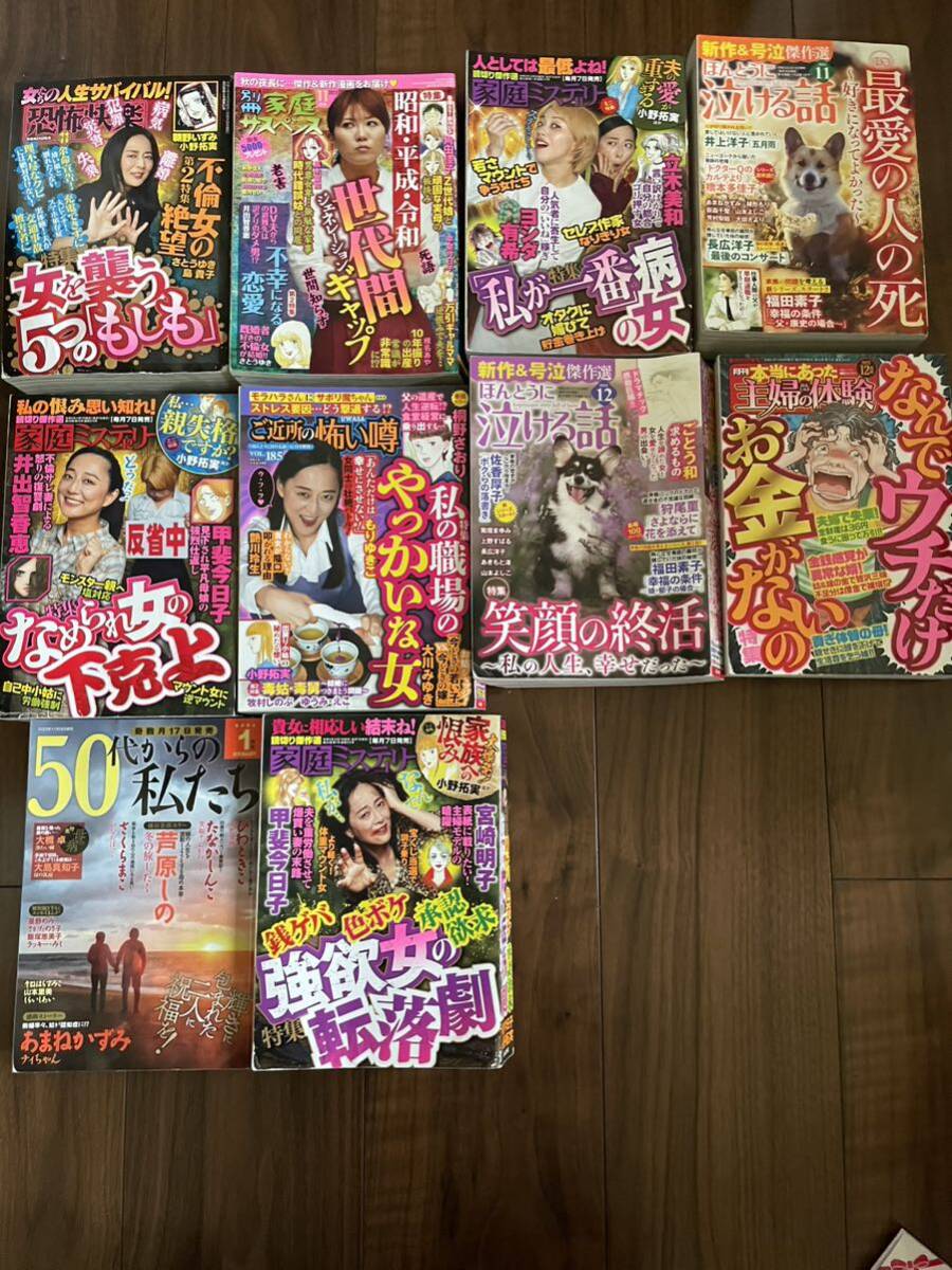 送料込み レディースコミック１０冊 雑誌 家庭ミステリー 家庭サスペンス の画像1