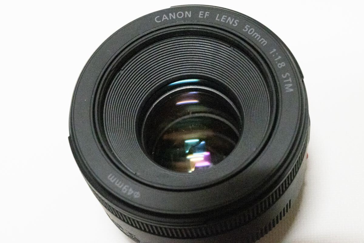 【現行モデル】 Canon 6D MARC2 EF24-105 IS STM KIT キヤノン ズームレンズ キット 単焦点レンズ EF50mm F1.8 STM付フルサイズ キャノンⅡの画像9