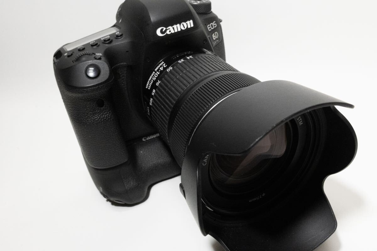 【現行モデル】 Canon 6D MARC2 EF24-105 IS STM KIT キヤノン ズームレンズ キット 単焦点レンズ EF50mm F1.8 STM付フルサイズ キャノンⅡの画像2
