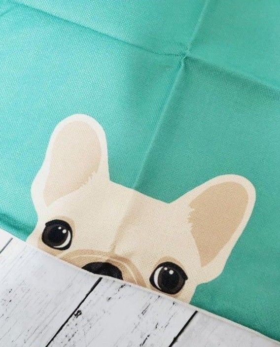 ワンコ ニャンコ わんにゃん クッションカバー 4枚から選べるセット　 猫　犬　ペア　45×45　リネン 人気 覗いてる 枕カバー