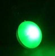 ■LED ペンダント ライト■ペット用【グリーン】LEDライトの光が明るく安全♪首輪やハーネスにクリップで簡単取付!お散歩バッグにも【緑】