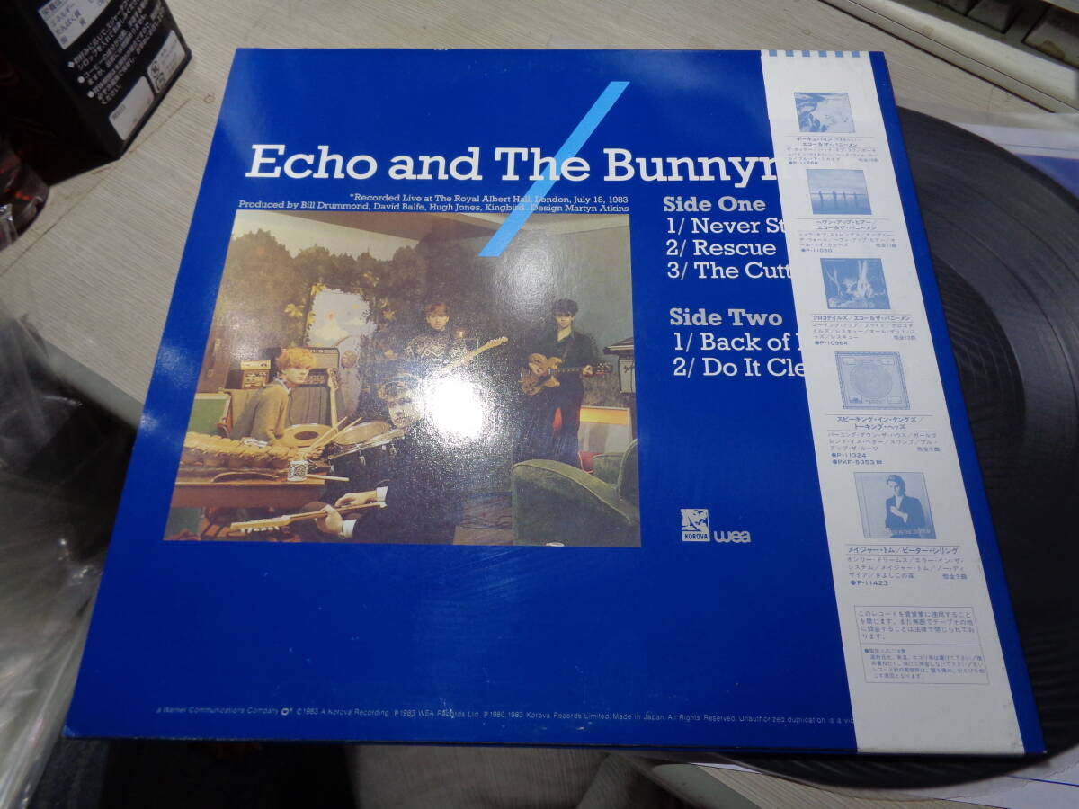 エコー＆ザ・バニーメン/ネヴァー・ストップ(JAPAN/KOROVA:P-6195 PROMO UNPLAYED MINT LP with Obi/1-B-2,1-A-1/ECHO AND THE BUNNYMEN_画像2