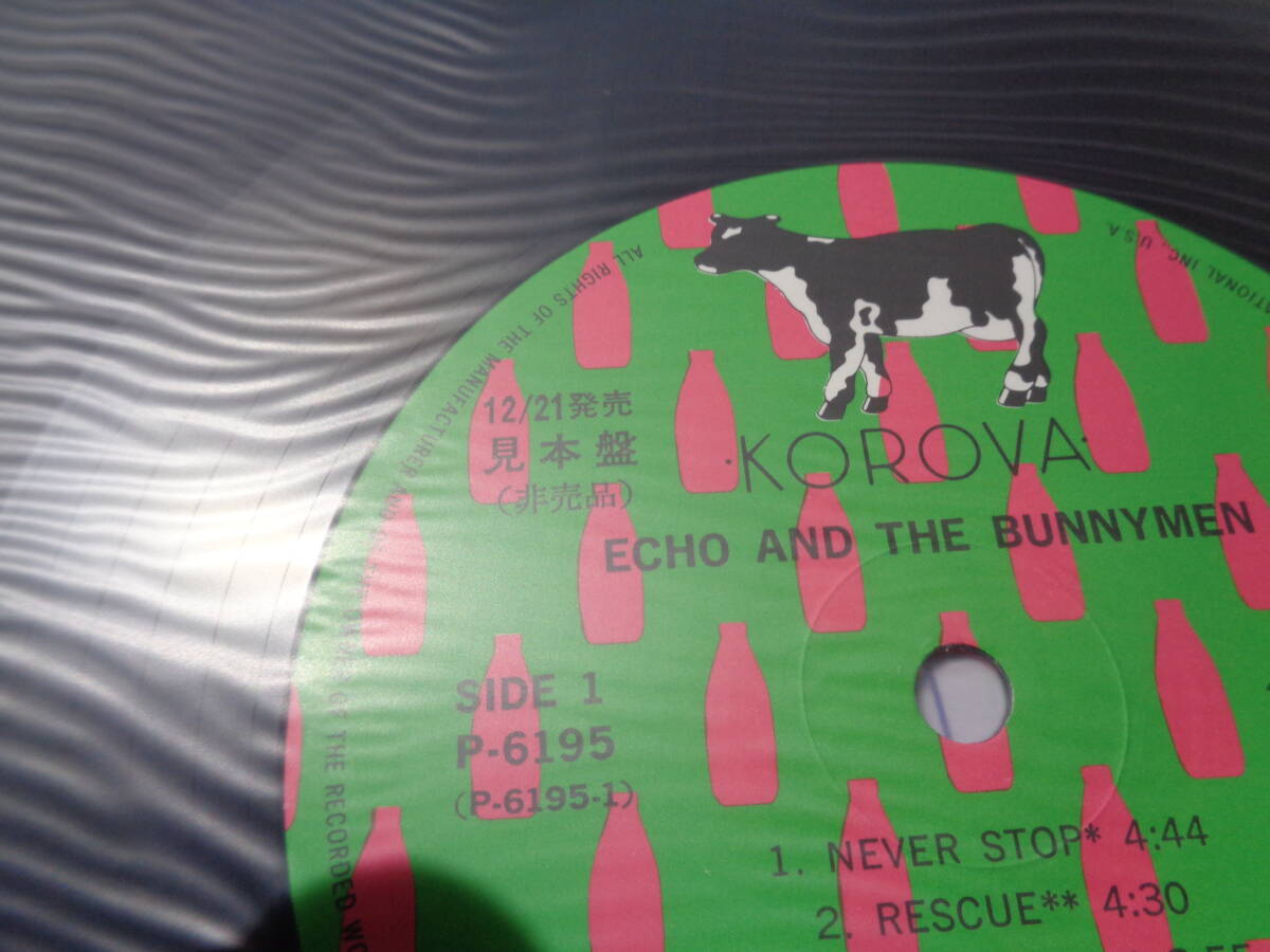 エコー＆ザ・バニーメン/ネヴァー・ストップ(JAPAN/KOROVA:P-6195 PROMO UNPLAYED MINT LP with Obi/1-B-2,1-A-1/ECHO AND THE BUNNYMEN_画像4