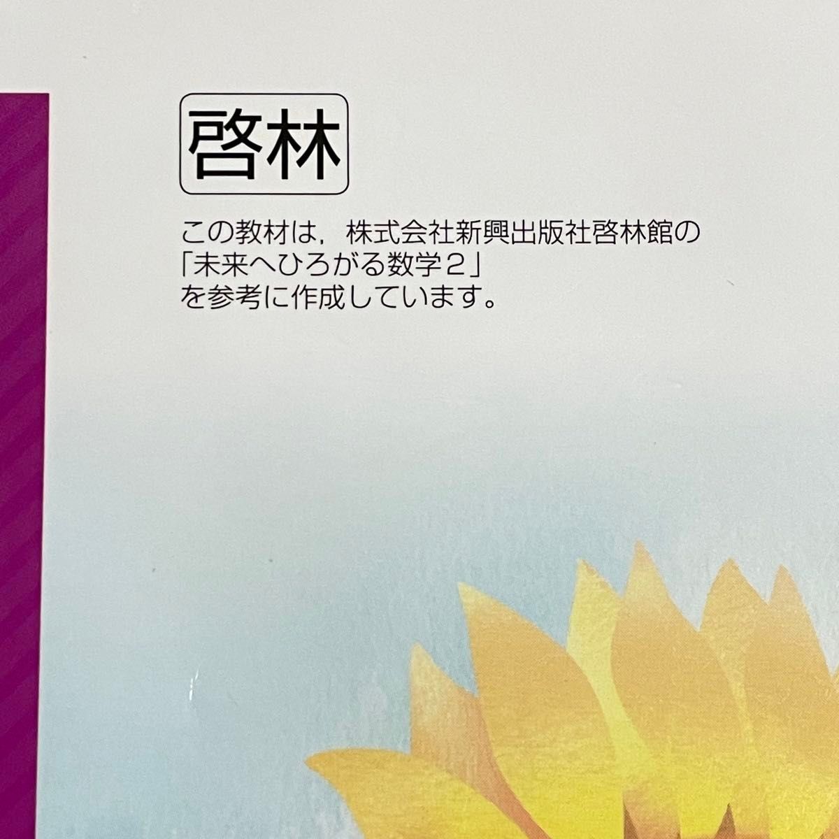 iワーク アイワーク 塾教材 別冊iワークプラス　中2 数学　啓林館　未来へひろがる数学2 中学　2年