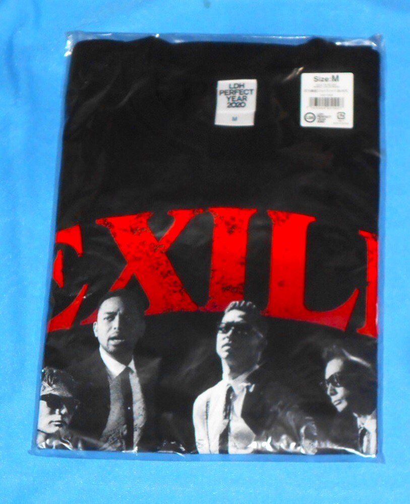 R113/EXILE THE SECOND フォトTシャツ EXILE THE SECOND PERFECT LIVE 2012-2020 EXILE TRIBE STATION限定 Mサイズ゛の画像1