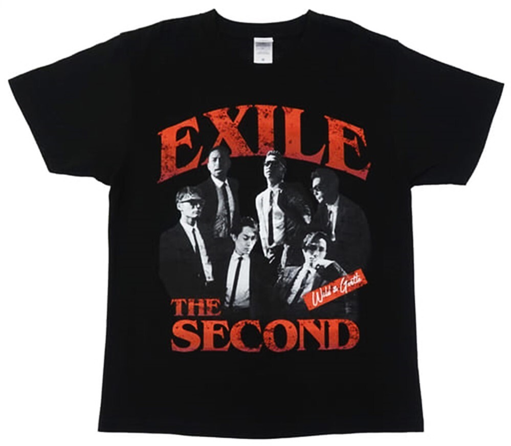 R113/EXILE THE SECOND フォトTシャツ EXILE THE SECOND PERFECT LIVE 2012-2020 EXILE TRIBE STATION限定 Mサイズ゛の画像2