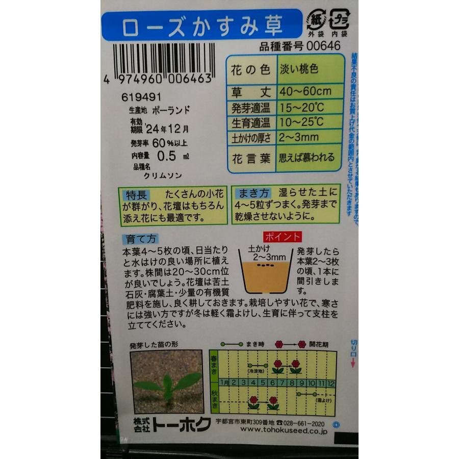 ３袋セット ローズ かすみ草 カスミソウ 種 郵便は送料無料_画像2