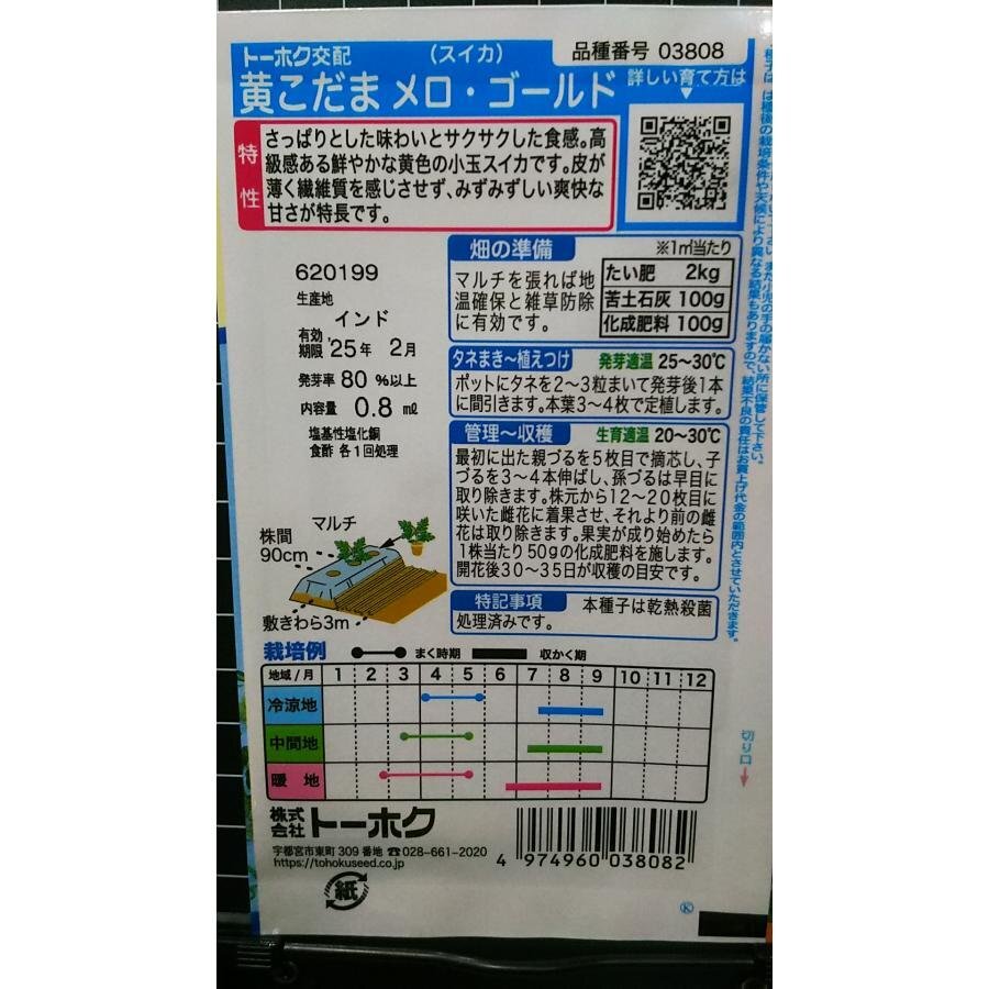 ３袋セット 黄 小玉 スイカ メロゴールド こだま 西瓜 種 郵便は送料無料_画像2