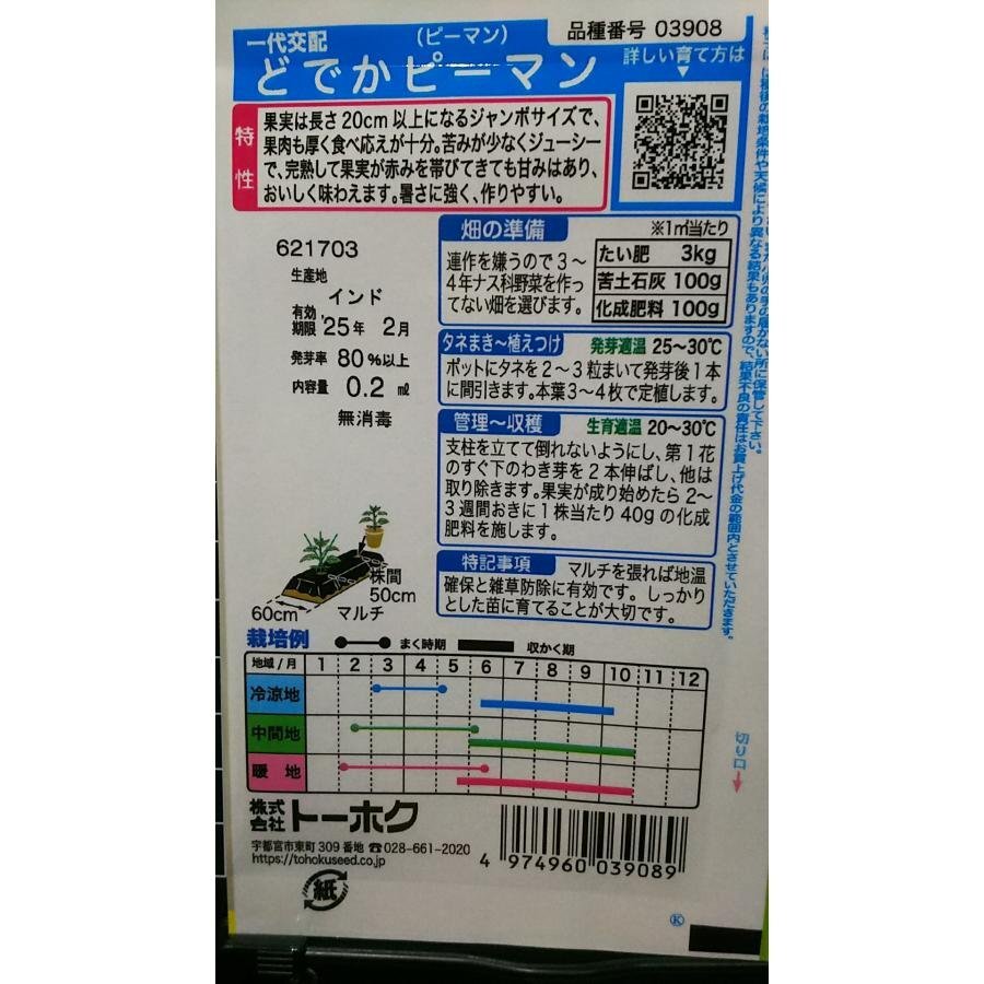 ３袋セット どでか ピーマン ジャンボ 種 郵便は送料無料_画像2