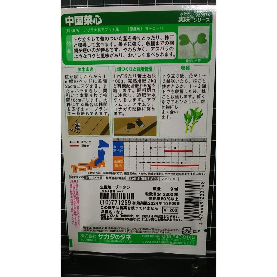 ３袋セット 中国菜心 チュウゴクサイシン 中国野菜 種 郵便は送料無料_画像2