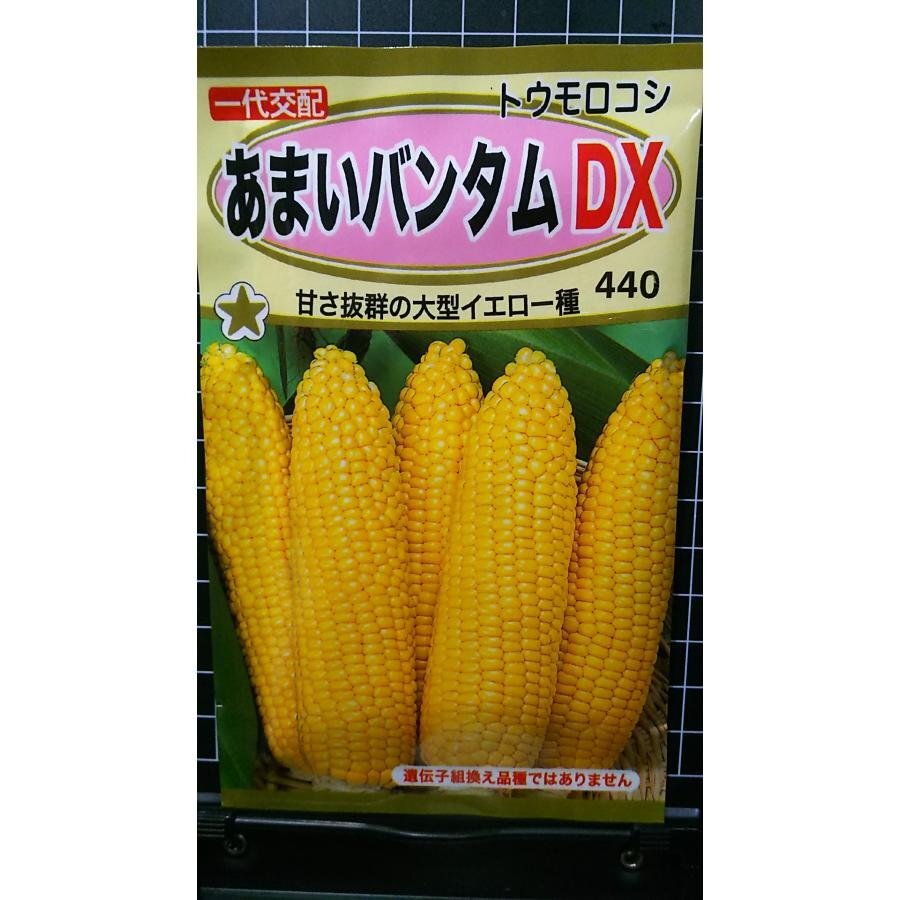 ３袋セット あまい バンタム DX トウモロコシ 種 郵便は送料無料_画像1