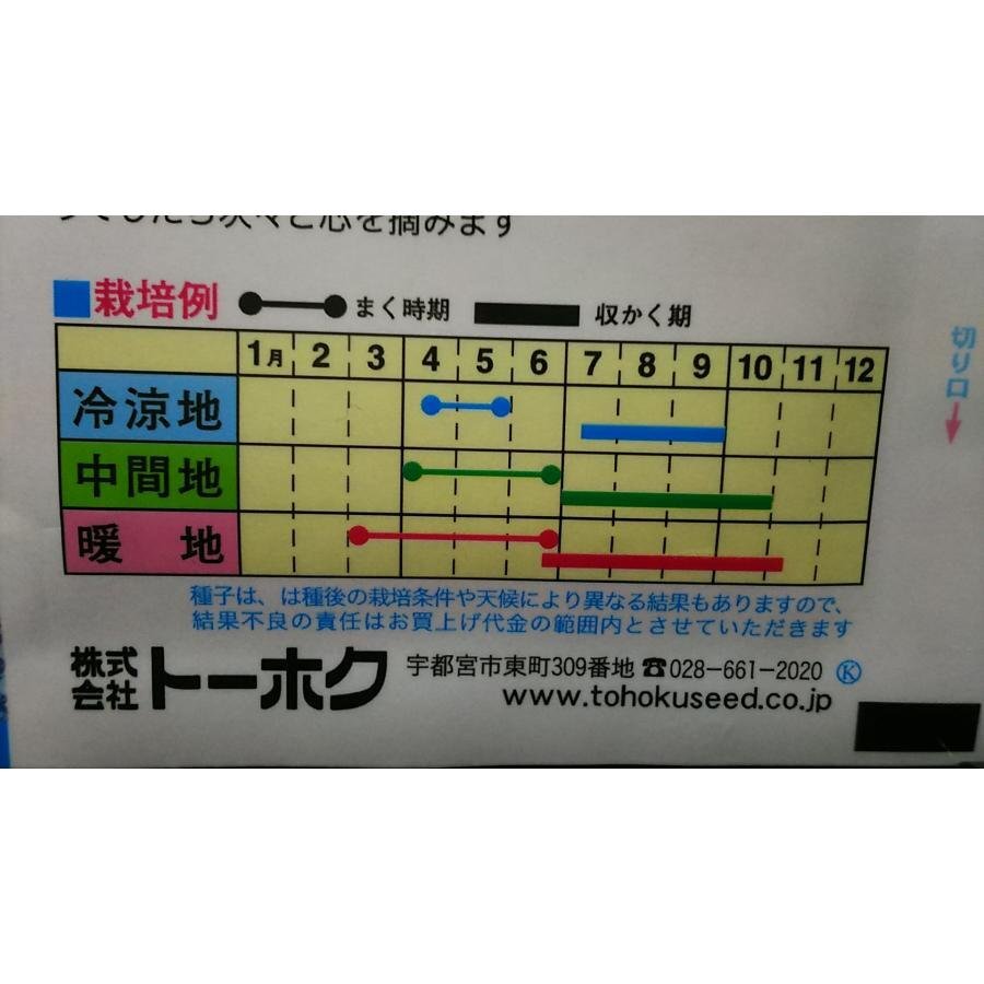 ３袋セット ほんしま瓜 ウリ 奈良漬瓜 種 郵便は送料無料_画像3