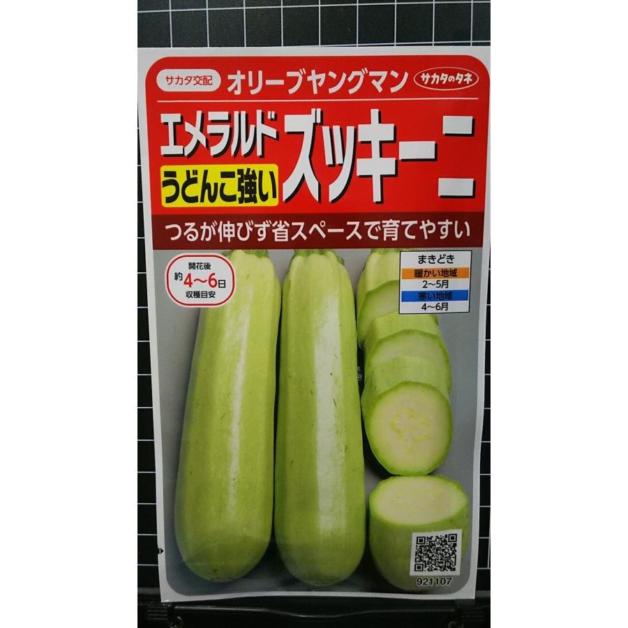 ３袋セット エメラルド ズッキーニ オリーブヤングマン 種 郵便は送料無料_画像1