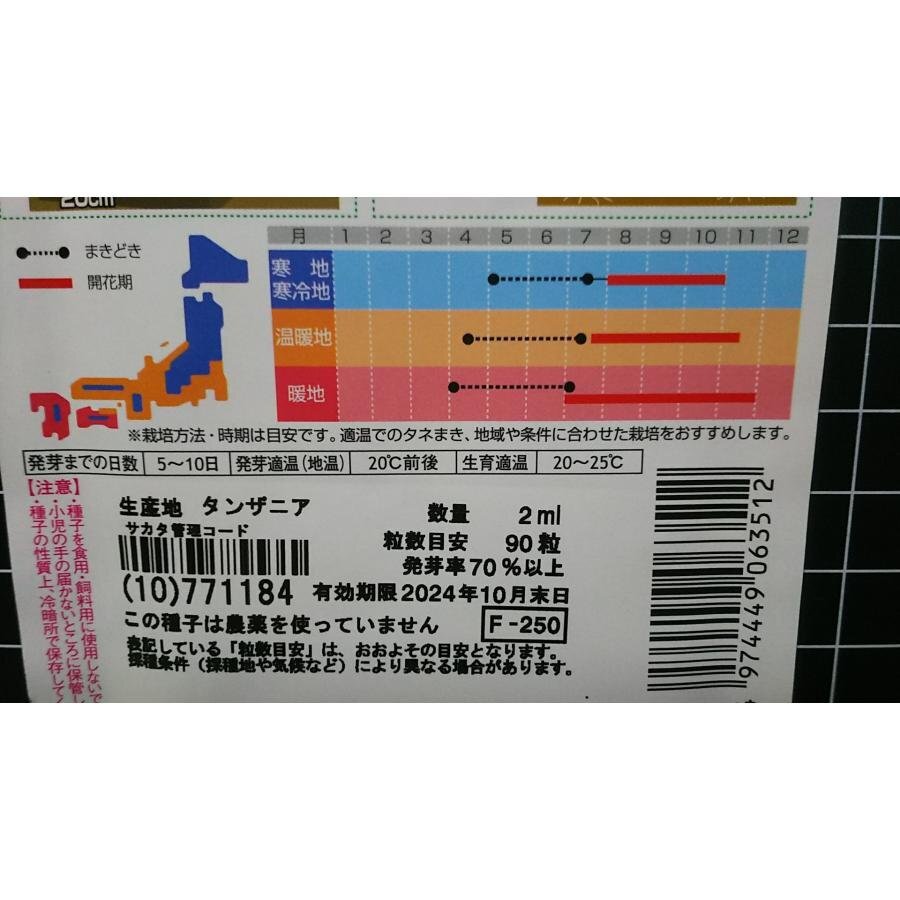 ３袋セット コスモス 巨大輪 スーパー 秋桜 種 郵便は送料無料_画像3